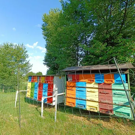 Apartma Mihatovi Lägenhet *