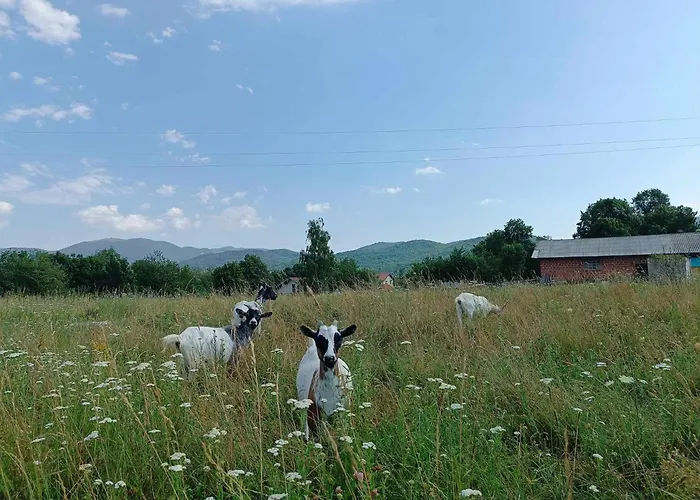 Apartament Apartma Mihatovi *